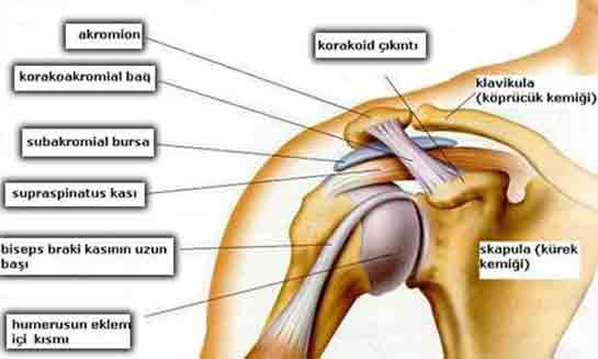 Omuz Eklem Ağrısı Belirtileri ve Tedavisi Omuz Eklem Ağrısı Belirtileri ve Tedavisi